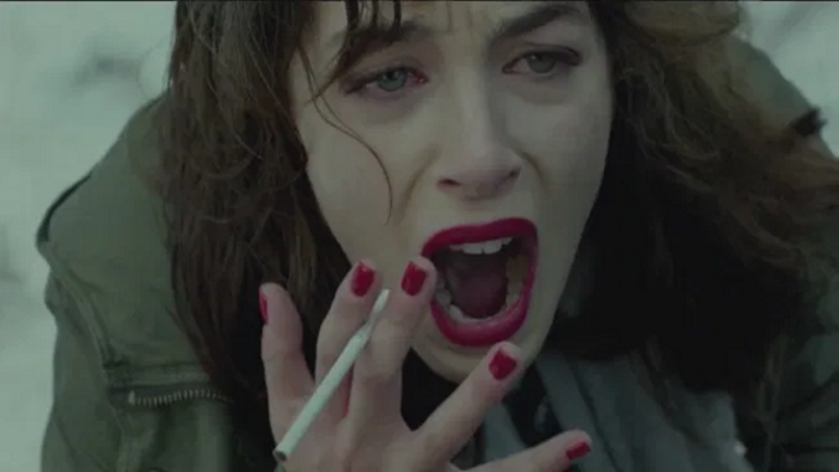 Cosmos (2015) Żuławski ransacks his knowledge of art and pop culture for the most surreal swansong (Review)