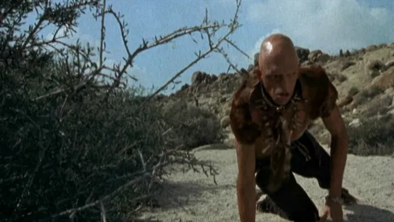 The Hills Have Eyes (1977) The Evolution of Wes Craven, the rule-breaker (Review)