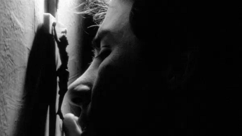 Who's that knocking on my door