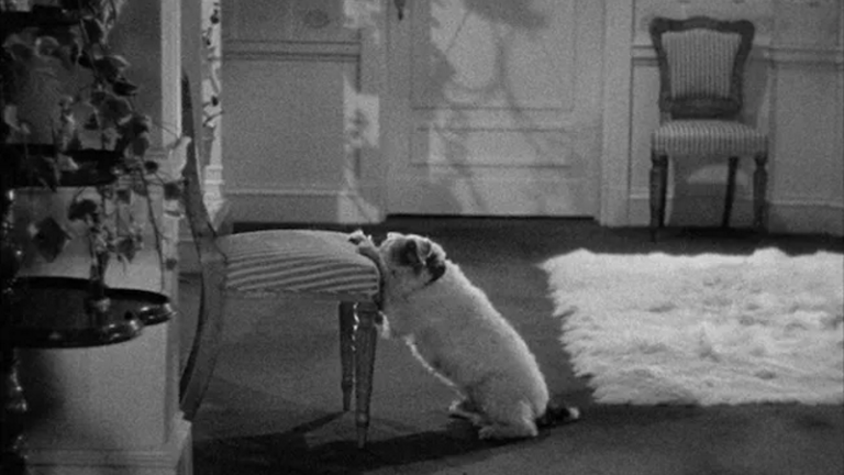 The Awful Truth (1937) Screwball comedy, Oscars and the Politics of Laughter (Review)