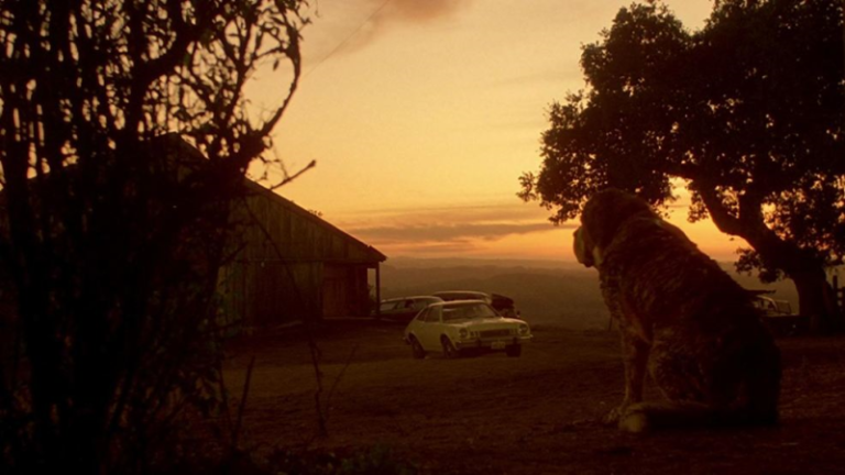 Cujo: Supernatural Canine you probably misremembered (Review)