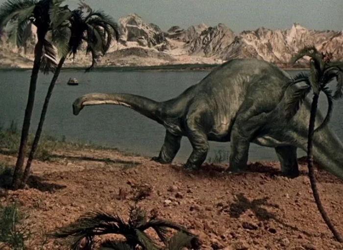 Journey to the Beginning of Time