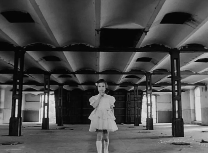 A Case for a Rookie Hangman