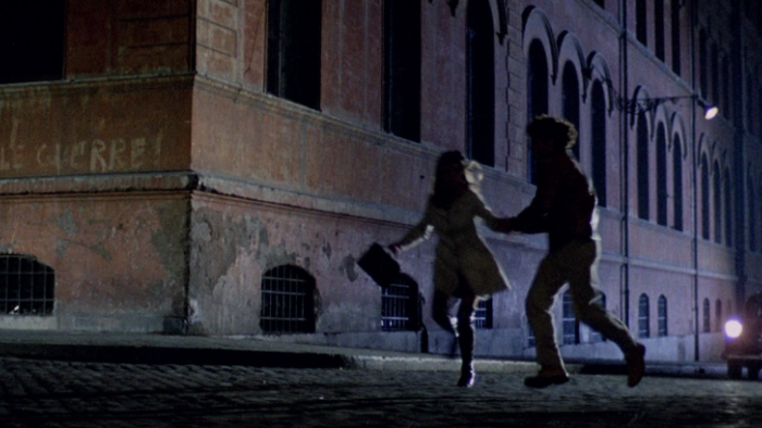 The Bird with the Crystal Plumage