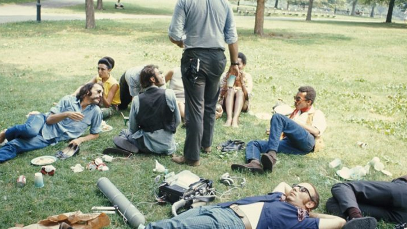 Symbiopsychotaxiplasm