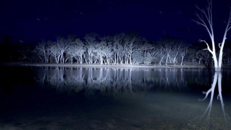 Lake Mungo (2008) The Most Hauntingly Real Horror One Of A Kind (Review)