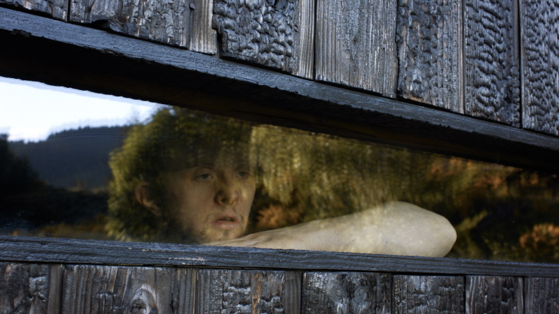 Theo and the Metamorphosis