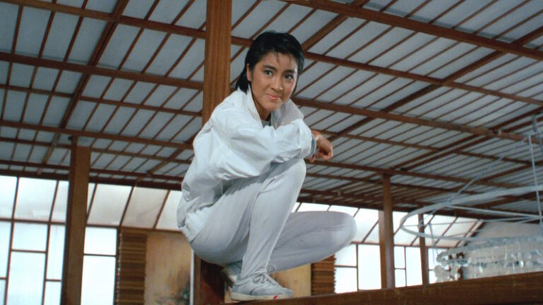 Yes Madam! (1985) Enjoyably inconsistent Hong Kong Action with Michelle Yeoh & Cynthia Rothrock (Review)