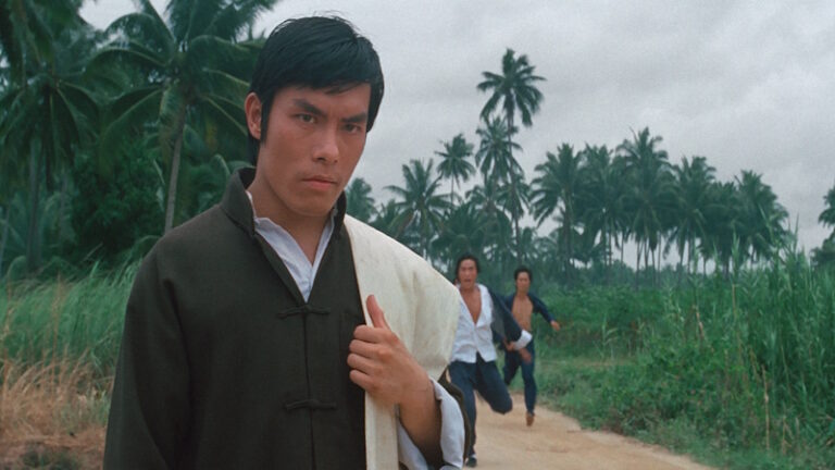 The Skyhawk (1974) A “not so” Classic passing of the Wong Fei-Hung torch that still carries the weight of history (Review)