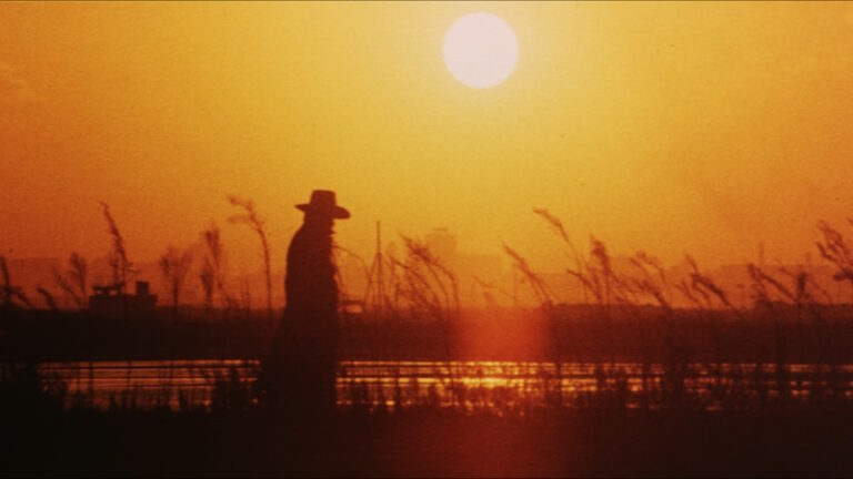 Yakuza Wolf I & II (1972) A Snapshot of a World long gone, Oozing Cool (Review)