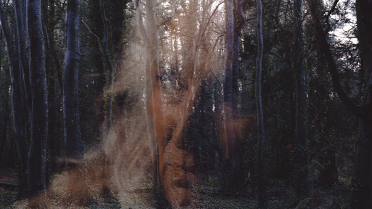 All You Need is Death (Glasgow Frightfest 2024)(Review)