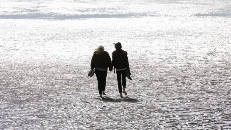 The Almond and the Seahorse (2024): Low-key and Earnest Disability Drama (Review)