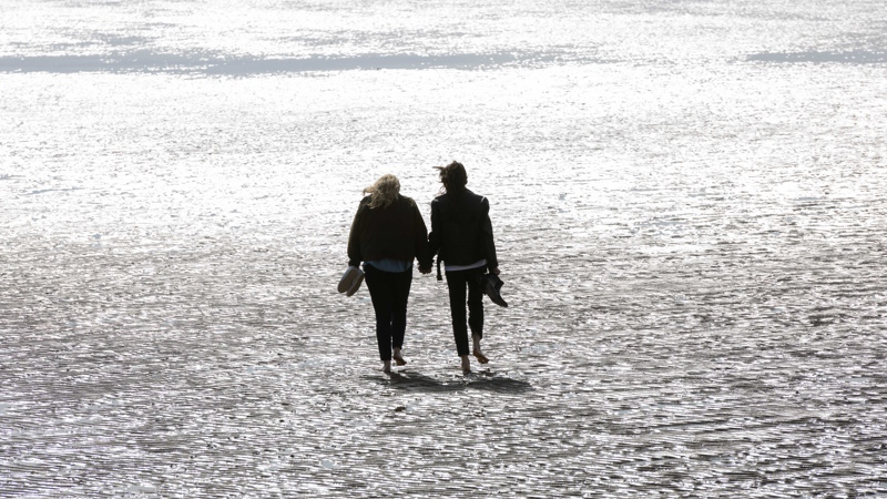 The Almond and the Seahorse