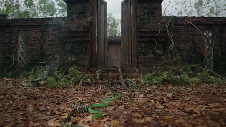 Dancing Village: The Curse Begins (2024): Nimbly avoids the curse of Prequels (Review)