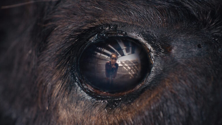 Animale (Fantastic Fest 2024)
