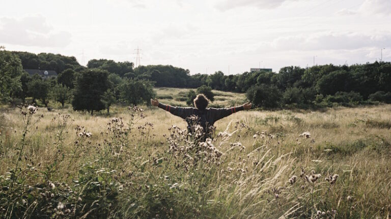 The Headliners (London Film Festival 2024) Feat. Hard Truths, Bird & The End