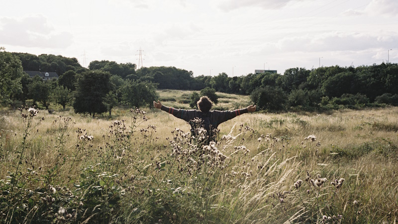 London Film Festival 2024