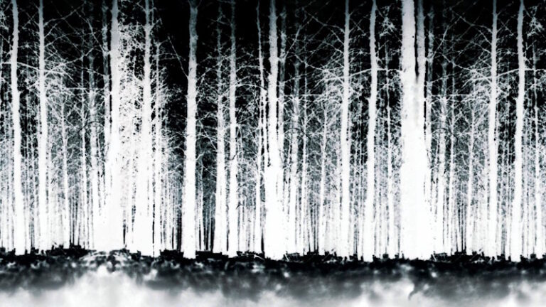The Blair Witch Project (1999) Modern Horror Legend gets Release that matches its Stature
