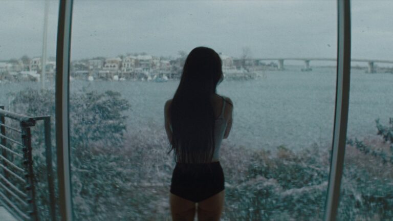 Anora (2024) Best Picture Oscar Winner Joins the Criterion Collection