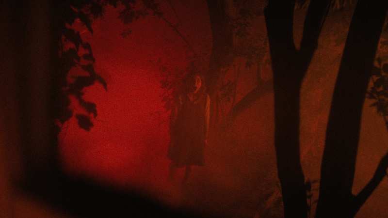 She Loved Blossoms More